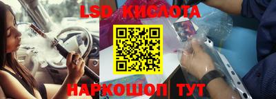 крисы Дубна