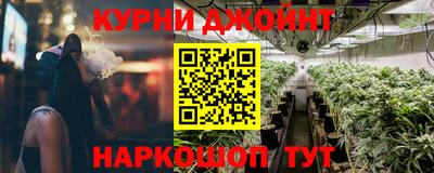 крисы Дубна